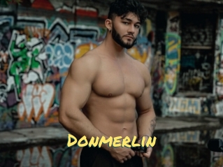 Donmerlin