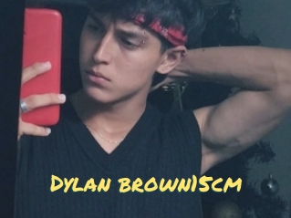 Dylan_brown15cm