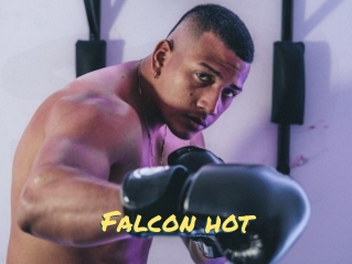 Falcon_hot