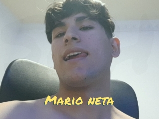 Mario_neta