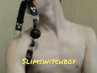 Slimswitchboy