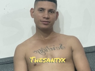 Thesantyx